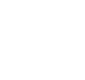 Singapore Institute of Directors